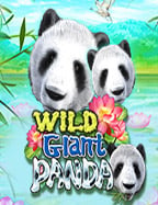 รีวิวฝาก ถอน ระบบ ออ โต้ เล่นเกมสล็อต CQ9 ไม่สะดุด